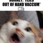 OH GOD | ME: SUCKS UP BUGS WITH HAND VACUUM; HORNET: *FLIES OUT OF HAND VACCUM*; ME: | image tagged in oh no cat,jesus christ | made w/ Imgflip meme maker