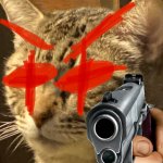 Cat angry meme