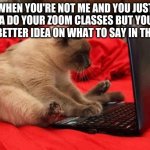 You guys are not me | WHEN YOU'RE NOT ME AND YOU JUST WANNA DO YOUR ZOOM CLASSES BUT YOUR CAT HAS A BETTER IDEA ON WHAT TO SAY IN THE CHAT | made w/ Imgflip meme maker