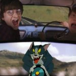Harry Potter and Tom meme