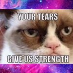 grumpy cat your tears give us strength