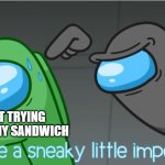 You're a sneaky little impostor! | JUST TRYING TO EAT MY SANDWICH | image tagged in you're a sneaky little impostor | made w/ Imgflip meme maker