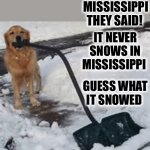 Dog shoveling | MOVE TO MISSISSIPPI THEY SAID! IT NEVER SNOWS IN MISSISSIPPI; GUESS WHAT IT SNOWED | image tagged in dog shoveling | made w/ Imgflip meme maker