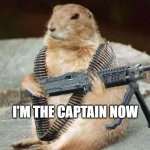 captain groundhog | I'M THE CAPTAIN NOW | image tagged in groundhog | made w/ Imgflip meme maker