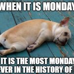 Guess what day it is? | WHEN IT IS MONDAY; AND IT IS THE MOST MONDAYEST MONDAY EVER IN THE HISTORY OF MONDAYS | image tagged in exhausted,monday,mondays,i hate mondays,funny,funny memes | made w/ Imgflip meme maker