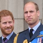 Harry and William