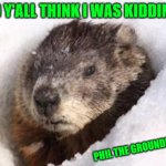 groundhog in snow | DID Y'ALL THINK I WAS KIDDING? PHIL THE GROUNDHOG | image tagged in groundhog in snow | made w/ Imgflip meme maker