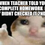 Just happend with me | WHEN TEACHER TOLD YOU TO COMPLETE HOMEWORK  BUT THEY DIDNT CHECKED IT 2ND DAY | image tagged in crying cat thumbs up | made w/ Imgflip meme maker