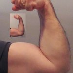 Muscle | BEFORE & AFTER | image tagged in bicep,flex,muscle,arms | made w/ Imgflip meme maker