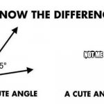 Acute Angle, A Cute Angel | NOT ME | image tagged in acute angle a cute angel,beep bop be be skdoo bep | made w/ Imgflip meme maker