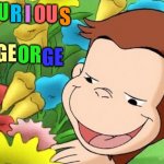 Bicurious George | CU; R; OU; S; BI; I; GE; OR; GE | image tagged in bicurious,lgbt,curious,george,monkey,flowers | made w/ Imgflip meme maker