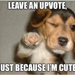 You Da Man! | LEAVE AN UPVOTE, JUST BECAUSE I’M CUTE. | image tagged in you da man | made w/ Imgflip meme maker