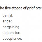 The stages of grief meme