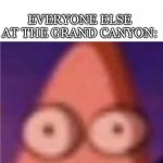 oh well | ME: *JUMPS INTO A RAVINE WITH A WATER BUCKET*; EVERYONE ELSE AT THE GRAND CANYON: | image tagged in eyes wide patrick | made w/ Imgflip meme maker