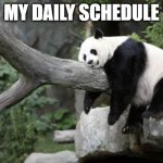 lazy panda | MY DAILY SCHEDULE | image tagged in lazy panda | made w/ Imgflip meme maker