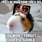 King Guinea The 3 | YOU'LL BE BACK SOON YOU'LL SEE; YOU WON'T FORGET YOUR PIG, GUINEA | image tagged in guinea pig,hamilton | made w/ Imgflip meme maker