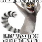 That moment when: | MORT GOT US IN A FREAKING CAR WRECK; I'M PARALYZED FROM THE NECK DOWN AND CAN'T MOVE IT MOVE IT | image tagged in king julian,memes | made w/ Imgflip meme maker