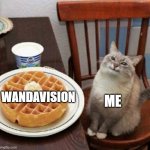 This one's nice and simple =) | ME; WANDAVISION | image tagged in cat likes their waffle | made w/ Imgflip meme maker