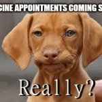 Vaccine Appointment - Yeah Right... | VACCINE APPOINTMENTS COMING SOON | image tagged in gifs,dog,vaccine,covid,waiting,still waiting | made w/ Imgflip video-to-gif maker