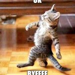 Cat Walking Away | OK; BYEEEE | image tagged in cat walking away | made w/ Imgflip meme maker