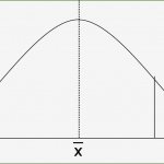 Bell Curve Blank