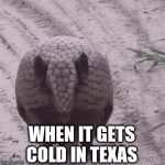Amarillo Cold in Texas | WHEN IT GETS COLD IN TEXAS | image tagged in gifs,texas,cold | made w/ Imgflip video-to-gif maker