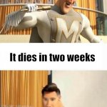 ... | You successfully create this meme format, which took you two hours in photoshop; It dies in two weeks | image tagged in markiplier metroman reaction meme,memes,dead,not funny,didn't laugh | made w/ Imgflip meme maker