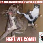 Lemont animal rescue | THERE’S AN ANIMAL RESCUE STARTING IN LEMONT?! HERE WE COME! | image tagged in did some one say ____ | made w/ Imgflip meme maker