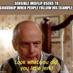 Look what you did, you little jerk | SENSIBLE IMGFLIP USERS TO GOKUDRIP WHEN PEOPLE FOLLOW HIS EXAMPLE: | image tagged in look what you did you little jerk | made w/ Imgflip meme maker