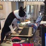 Boston Terrier computer | ME: I WILL NOT PUT BACON IN YOUR FOOD; DOG: THEN I WILL DELETE YOUR APPS | image tagged in boston terrier computer,boston terrier,funny | made w/ Imgflip meme maker