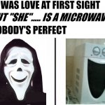 What's love got to do with it ??? | - IT WAS LOVE AT FIRST SIGHT; - BUT "SHE"..... IS A MICROWAVE; - NOBODY'S PERFECT | image tagged in meme,funny,scary movie,microwave,true love,love is in the air | made w/ Imgflip meme maker