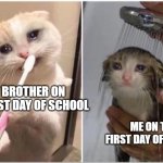 Sad cats | MY BROTHER ON THE FIRST DAY OF SCHOOL; ME ON THE FIRST DAY OF SCHOOL | image tagged in sad cats | made w/ Imgflip meme maker