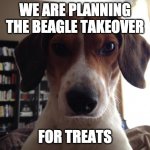 NIGEL THE BEAGLE OF PHILADELPHIA, PA | WE ARE PLANNING THE BEAGLE TAKEOVER; FOR TREATS | image tagged in nigel the beagle of philadelphia pa | made w/ Imgflip meme maker