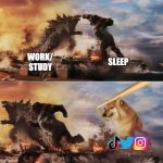 Study vs sleep vs social media | WORK/
STUDY; SLEEP | image tagged in cheems vs godzilla/kong | made w/ Imgflip meme maker