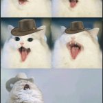 Country Roads Cat