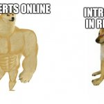 small doge big doge | INTROVERTS IN REAL LIFE; INTROVERTS ONLINE | image tagged in small doge big doge | made w/ Imgflip meme maker