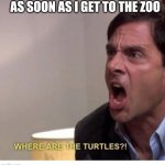 Where are the turtles | AS SOON AS I GET TO THE ZOO | image tagged in where are the turtles | made w/ Imgflip meme maker