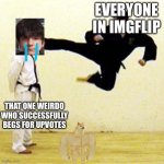 Lol | EVERYONE IN IMGFLIP THAT ONE WEIRDO WHO SUCCESSFULLY BEGS FOR UPVOTES | image tagged in kick | made w/ Imgflip meme maker