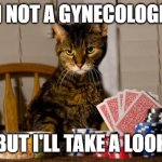 Poker Cat | I'M NOT A GYNECOLOGIST; BUT I'LL TAKE A LOOK | image tagged in poker cat | made w/ Imgflip meme maker