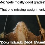 Damnit! | Me: *gets mostly good grades*
 
That one missing assignment: | image tagged in gandalf you shall not pass | made w/ Imgflip meme maker