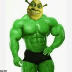 PointFarm shrek sexy face Memes & GIFs - Imgflip