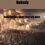 memes #4 | Nobody; baby turtles when they are born | image tagged in avengers endgame final battle | made w/ Imgflip meme maker