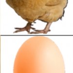 Chicken and egg meme