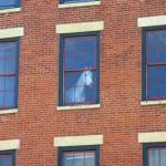 window horse