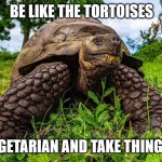 Be like tortoise | BE LIKE THE TORTOISES; EAT VEGETARIAN AND TAKE THINGS EASY | image tagged in be like tortoise | made w/ Imgflip meme maker