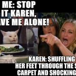 Shocking smudge | ME: STOP IT KAREN, LEAVE ME ALONE! KAREN: SHUFFLING HER FEET THROUGH THE SHAG CARPET AND SHOCKING ME! | image tagged in reverse cat at dinner table | made w/ Imgflip meme maker