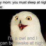I wake up at night | my mom: you must sleep at night; me:; I'm a owl and I can be awake at night | image tagged in orly owl,owl,funny,night | made w/ Imgflip meme maker