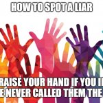 lie detector | HOW TO SPOT A LIAR; RAISE YOUR HAND IF YOU IF YOU HAVE NEVER CALLED THEM THE N-WORD | image tagged in colors,diversity,race,liberals,gays | made w/ Imgflip meme maker