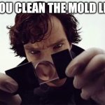 Model makers | DID YOU CLEAN THE MOLD LINES? | image tagged in sherlock magnifying glass | made w/ Imgflip meme maker