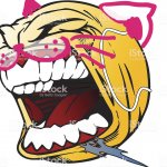 Let’s fucking go cat version